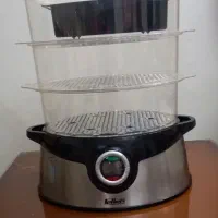 سرخ کن و بخار پز