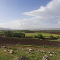 فروش-3-قطعه-زمین-کشاورزی-در-جنب-کارخانه-مدلل