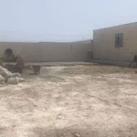 کارگر ساختمانی