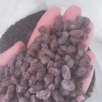 کشمش بیدانه لوکس