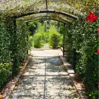 فرنیش ، ویو دریا و جنگل ، داخل مجتمع|اجارهٔ آپارتمان|رویان, |دیوار