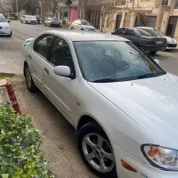 ماکسیما ۸۹|خودرو سواری و وانت|کرج, عظیمیه|دیوار