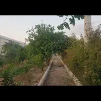 گلخانه اماده کشت و مجهز به امکانات ویژه در شوشتر|فروش دفتر صنعتی، کشاورزی، تجاری|اهواز, کوروش|دیوار