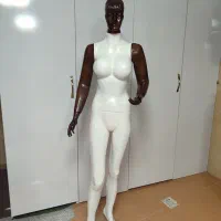 مانکن|فروشگاه و مغازه|شهرضا, |دیوار