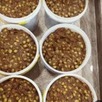 زیتون پرورده  ومواد  شرکت رستوران سوپرمارکتها