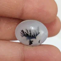 سنگ شجر|بدلیجات|کرمانشاه, |دیوار