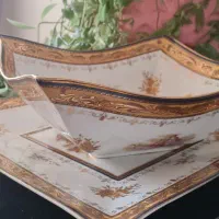ظروف پذیرایی