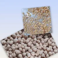 فروش خشکبار وحبوبات|خوردنی و آشامیدنی|صدرا-فارس, فاز ۱|دیوار