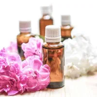 داوطلبانه راهنمایی میکنم