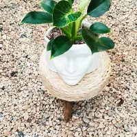 تخفیف ویژه روز مادر