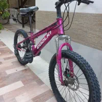 دوچرخه بیست|دوچرخه، اسکیت، اسکوتر|میناب, |دیوار