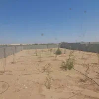 خانه باغ تنگ‌چنار