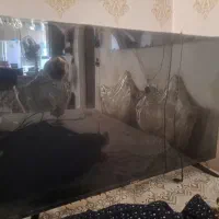 ال ای دی ایکس ویژن