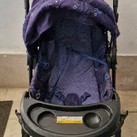 کالسکه و صندلی ماشین دلیجان