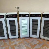 دستگاه جوجه کشی گلدن جیک