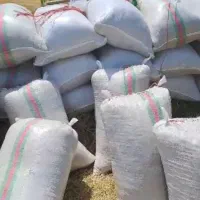 زمین کشاورزی رشت|فروش دفتر صنعتی، کشاورزی، تجاری|تولم شهر, |دیوار