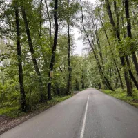 ویلا-صفرابسته-کیاشهر-با-مجوزساخت-و-سندتک-برگ