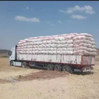 فروش کاه