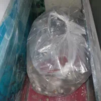 آکواریوم|ماهی|بیرجند, |دیوار