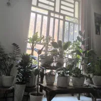 فروش گل طبیعی