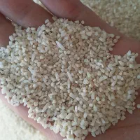 برنج نیمدانه طارم