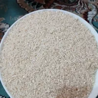 برنج سر لاشه طارم محلی فجر درجه یک|عمده‌فروشی|تربت جام, مسکن مهر|دیوار