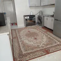 اجاره یک واحد آپارتمان نوساز|اجارهٔ آپارتمان|میانه, |دیوار