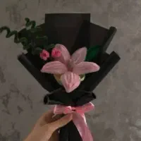 گل های مخملی،(پیپ پاکن )هر رنگ‌بندی ک بخواین