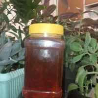 عسل اورگانیک|خوردنی و آشامیدنی|مهاجران, |دیوار