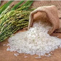 برنج طارم هاشمی کشت جدید امسال|خوردنی و آشامیدنی|تهران, جنت‌آباد مرکزی|دیوار