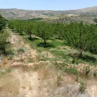 باغ سپیدان معاوضه با دنا پلاس سورن پلاس تارا|فروش زمین و ملک کلنگی|سپیدان, |دیوار