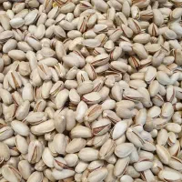 پسته تازه، خوش‌طعم واصیل
