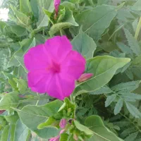 سلام یه سری کارت بانکی گم شده