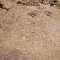 فروش کنجاله ی سویا وارداتی چکی با ضمانت نامه بانکی