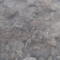 کودحیوانی‌پهن|عمده‌فروشی|دشتابی, |دیوار