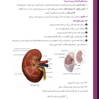 انجام خدمات تایپ، صفحه‌آرایی، طراحی گرافیکی|خدمات رایانه‌ای و موبایل|تهران, بهار|دیوار