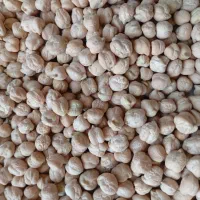 نخود خووش|خوردنی و آشامیدنی|شباب, |دیوار