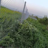 پایه فنس بتونی وتیر باغ انگور|عمده‌فروشی|خوی, |دیوار