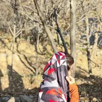 شال و روسری قیمت اقتصادی