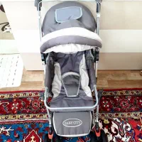 کالسکه دلیجان مناسب سیسمونی