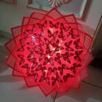 دیاری روژی کچ