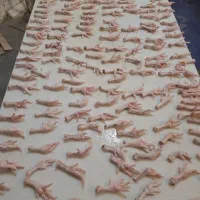 نیروی آقا  جهت کار در فرآوری پای مرغ