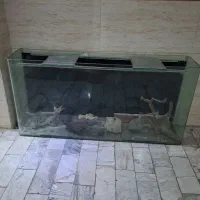 باکس شیشه ای آکواریم سالم