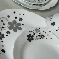 ارکوپال|ظروف سرو و پذیرایی|رشت, کوی طالقانی|دیوار