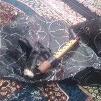 نی انبان سالم