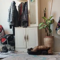 جاکفشی بزرگ همراه جالباسی