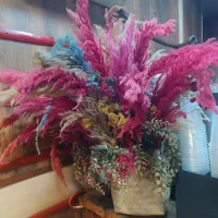 ۴عدد گلدان  وگل مختلف