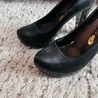 کفش مجلسی|کیف، کفش، کمربند|قم, انسجام|دیوار