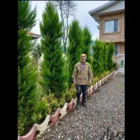 باغبانی گلکاری باغچه کاری هرس کاری تخصصی