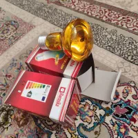 لامپ مادون قرمز یا مادر